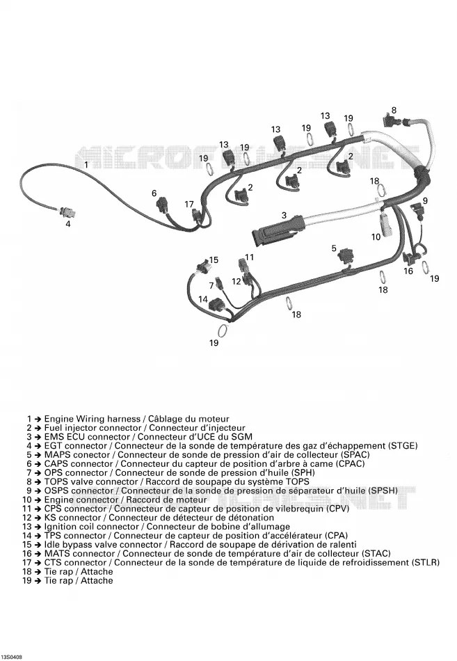 Engine Wiring Harness