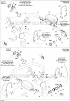 Exhaust System