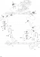 Exhaust System