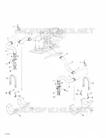 Exhaust System