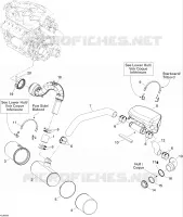 Exhaust System