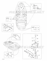 Body And Accessories 4