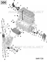 Engine Lubrication - 300