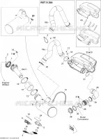 Exhaust System