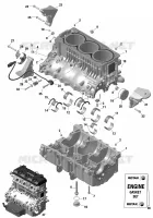 01- ROTAX - Carter