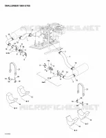 Exhaust System