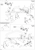 Exhaust System