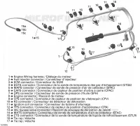 Electrical Harness