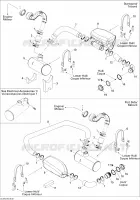 Exhaust System