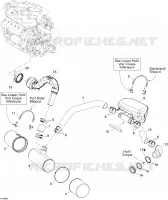 Exhaust System