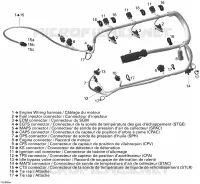Electrical Harness 1