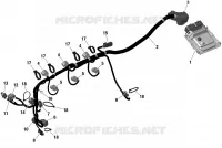 01- ROTAX - Engine Harness And Electronic Module