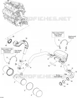 Exhaust System