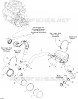 Exhaust System