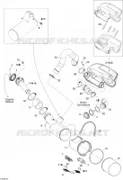 Exhaust System