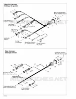 Electrical Harness