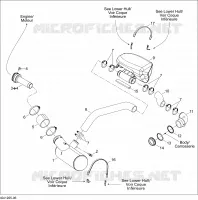 Exhaust System