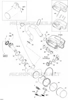 Exhaust System