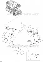 Exhaust System