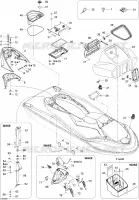 Body (Font View)
