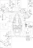 Body And Accessories