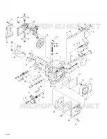 Carburetor(s)