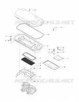 Air Intake System