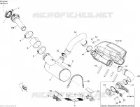 Exhaust System