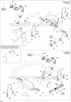 Exhaust System