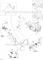 Exhaust System