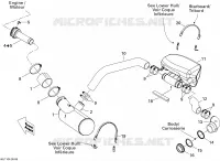 Exhaust System