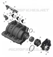 01- ROTAX - Air Intake Manifold And Throttle Body