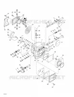 Carburetor(s)