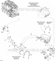 Exhaust System