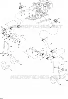 Exhaust System