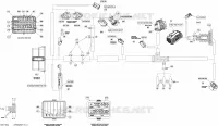 Electrical Harness (Main)