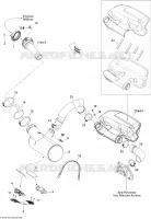 Exhaust System