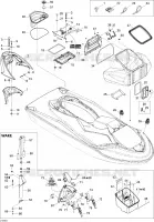 Body, Front View STD