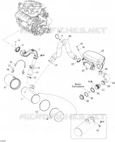 Exhaust System