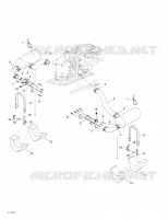 Exhaust System