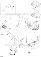 Exhaust System