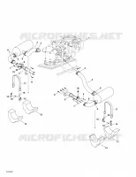 Exhaust System