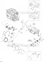 Exhaust System