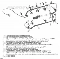 Engine Harness