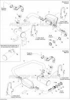 Exhaust System