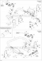 Exhaust System