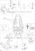 Body And Accessories