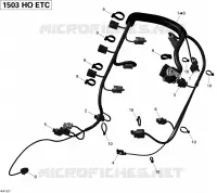 Engine Harness