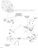 Exhaust System