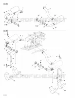 Exhaust System